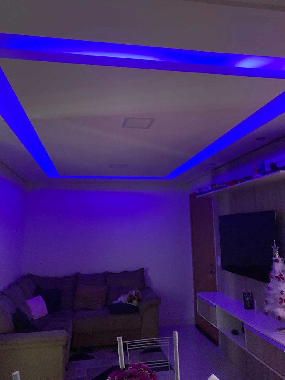 019d973c-53f2-408a-bd1f-da44dfe07233